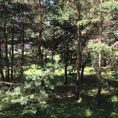 Pilot Aparts Apartment Minsk